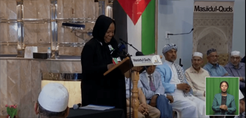 Fight for Palestine continues: Pandor