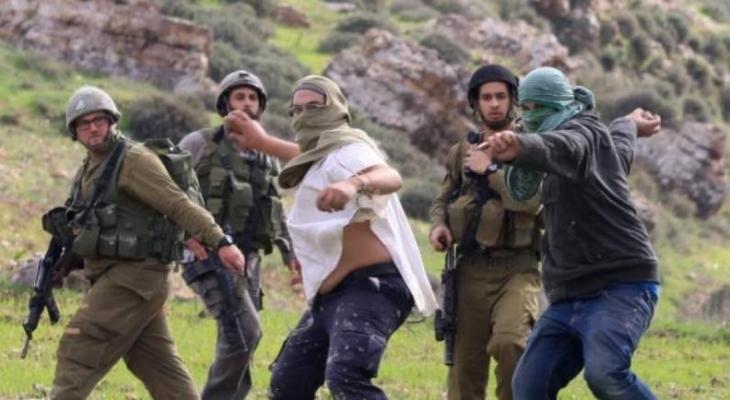 مستوطنون يعتدون على رعاة ويصادرون 500 بقرة في الأغوار