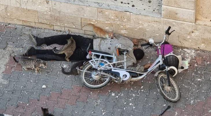 حماس تدعو “العدل الدولية” لاعتماد قرار بوقف حرب الإبادة