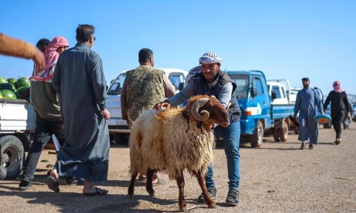 “أغنام الترانزيت” تشعل أزمة بين سوريا والأردن